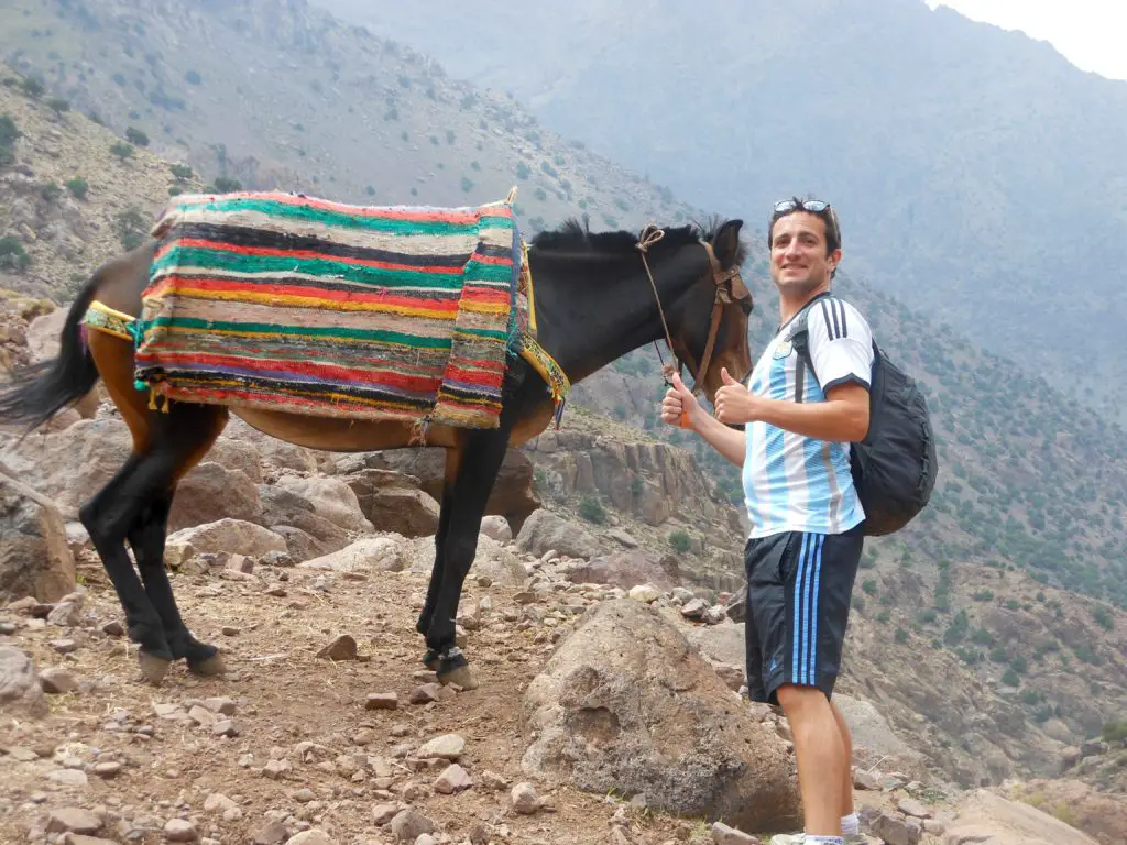 donkey tourism