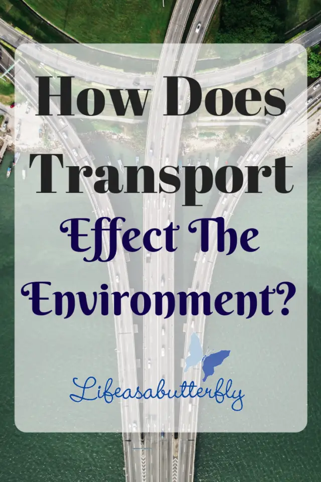 How does transport effect the environment?