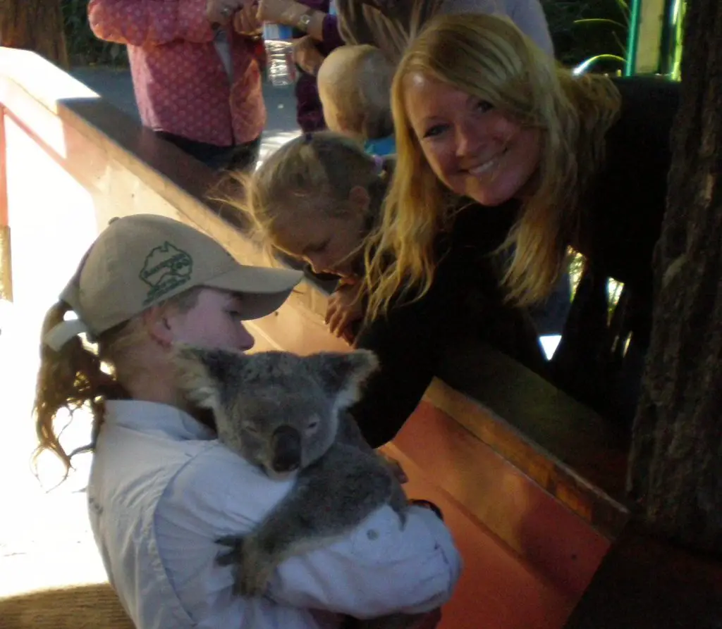 cuddle a koala